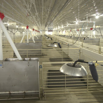 Barn Interior