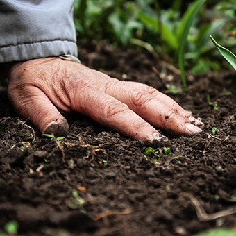 Keep the Fertilizer